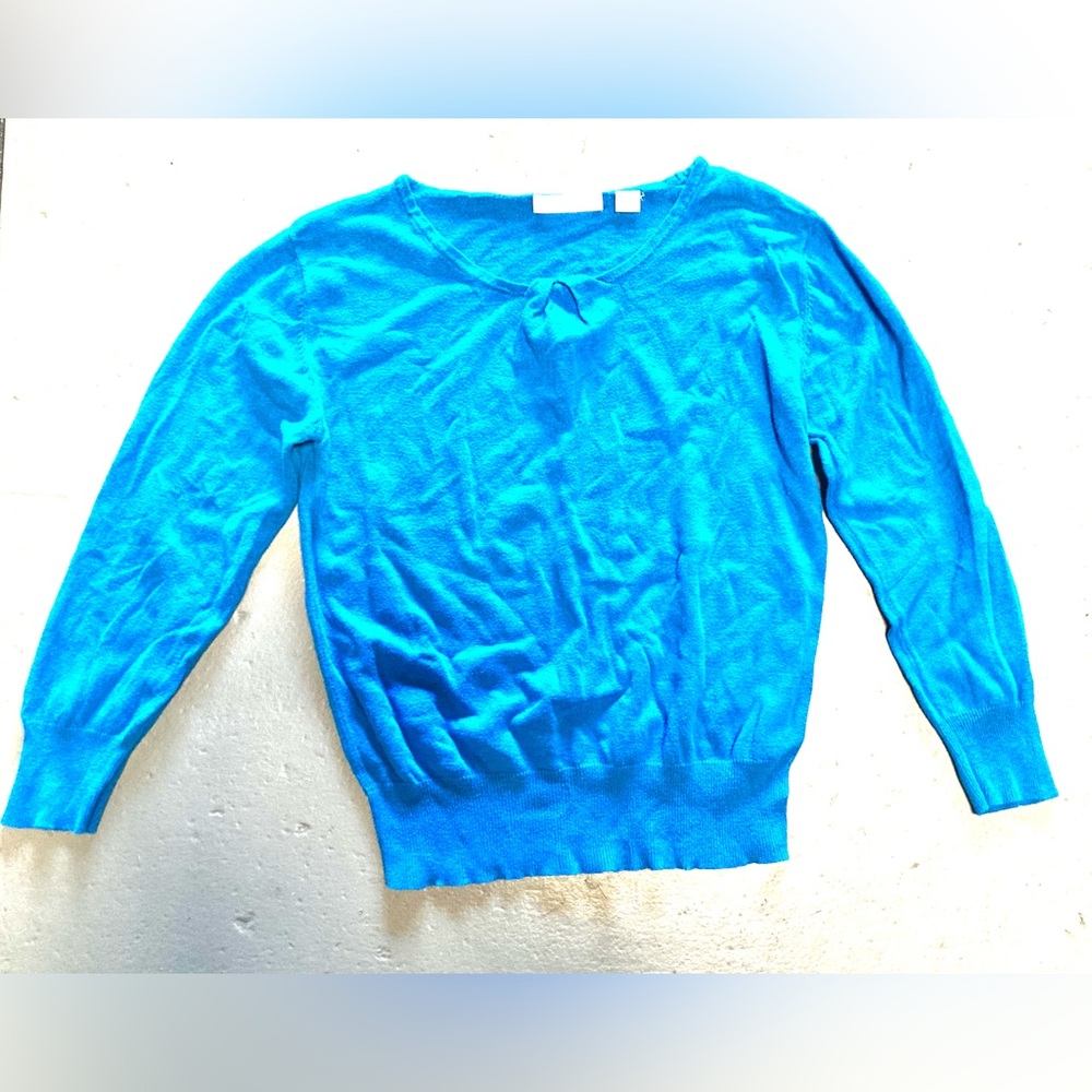 Blue Lightly Rouched Sweater Top